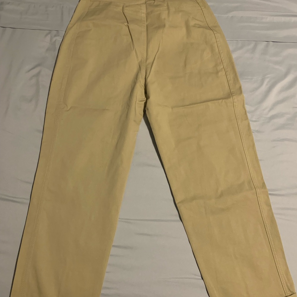 Zara trouser pants